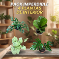 El pack imperdible Interior OFERTA TIEMPO LIMITADO !