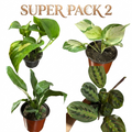 OFERTA SUPER PACK N°2