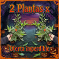 OFERTA NARANJOS DEL AMOR 2X