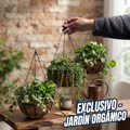 PACK DE 3 Maceta colgante fibra de coco 20 cm OFERTA