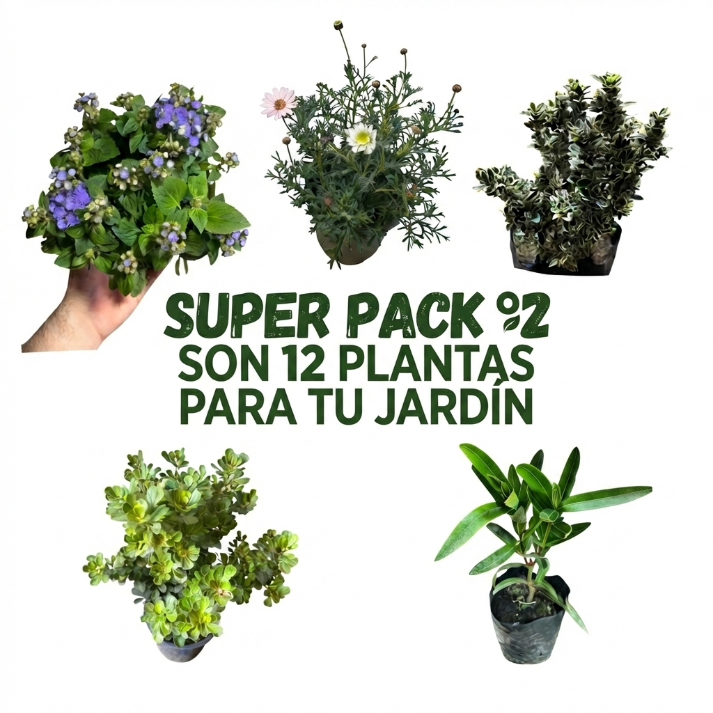 OFERTA SUPER PACK N°2 EXTERIOR