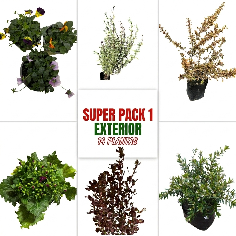 OFERTA SUPER PACK N°1 EXTERIOR