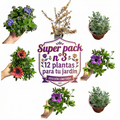 OFERTA SUPER PACK N°3 EXTERIOR