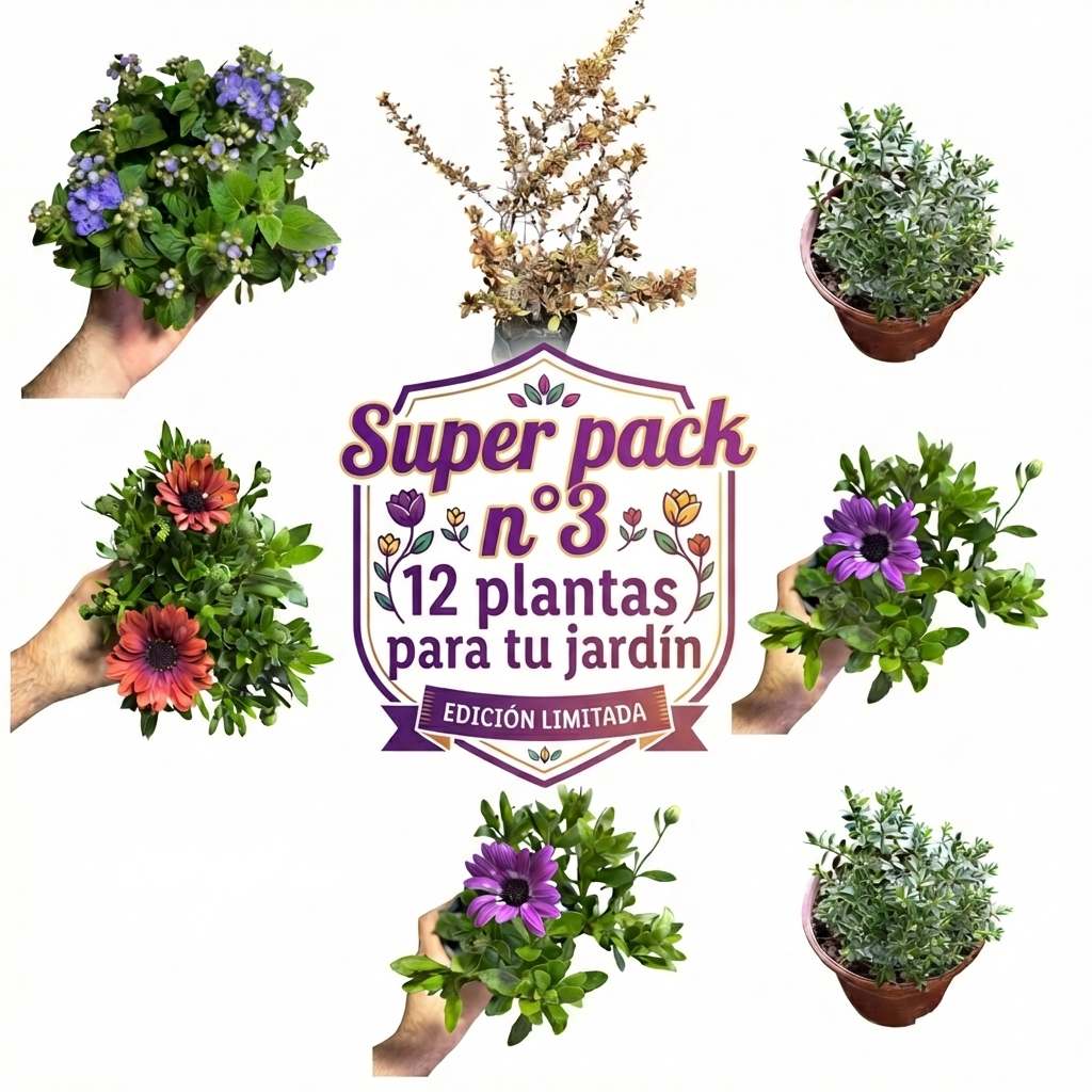 OFERTA SUPER PACK N°3 EXTERIOR