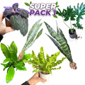 OFERTA SUPER PACK N°1