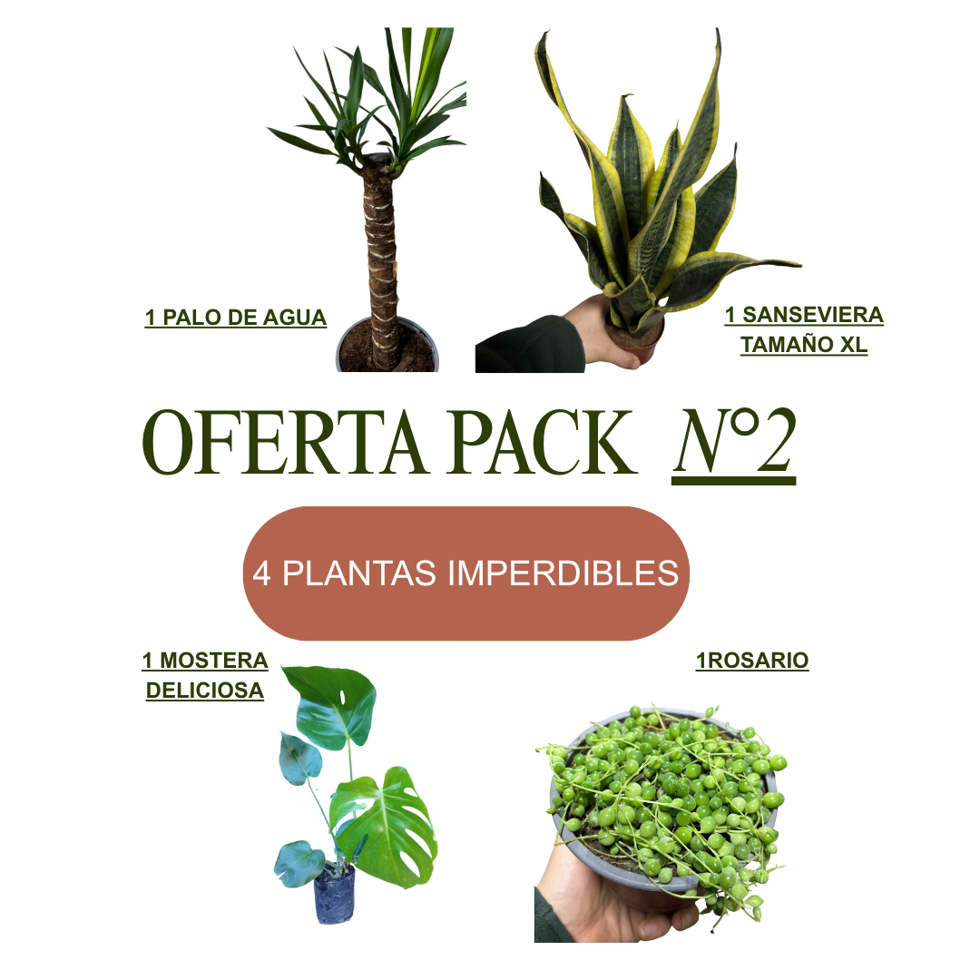 SUPER PACK OFERTA N°2