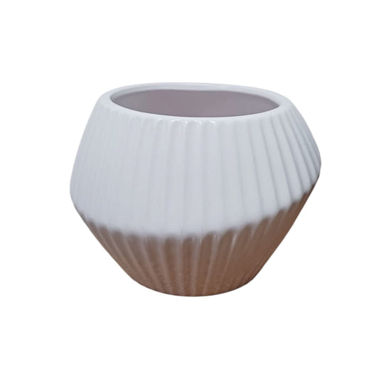 Líneas Cónicas Blanco