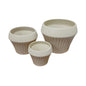 Cónicas Beige Pack 3 Macetas