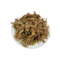 Musgo sphagnum 5 litros