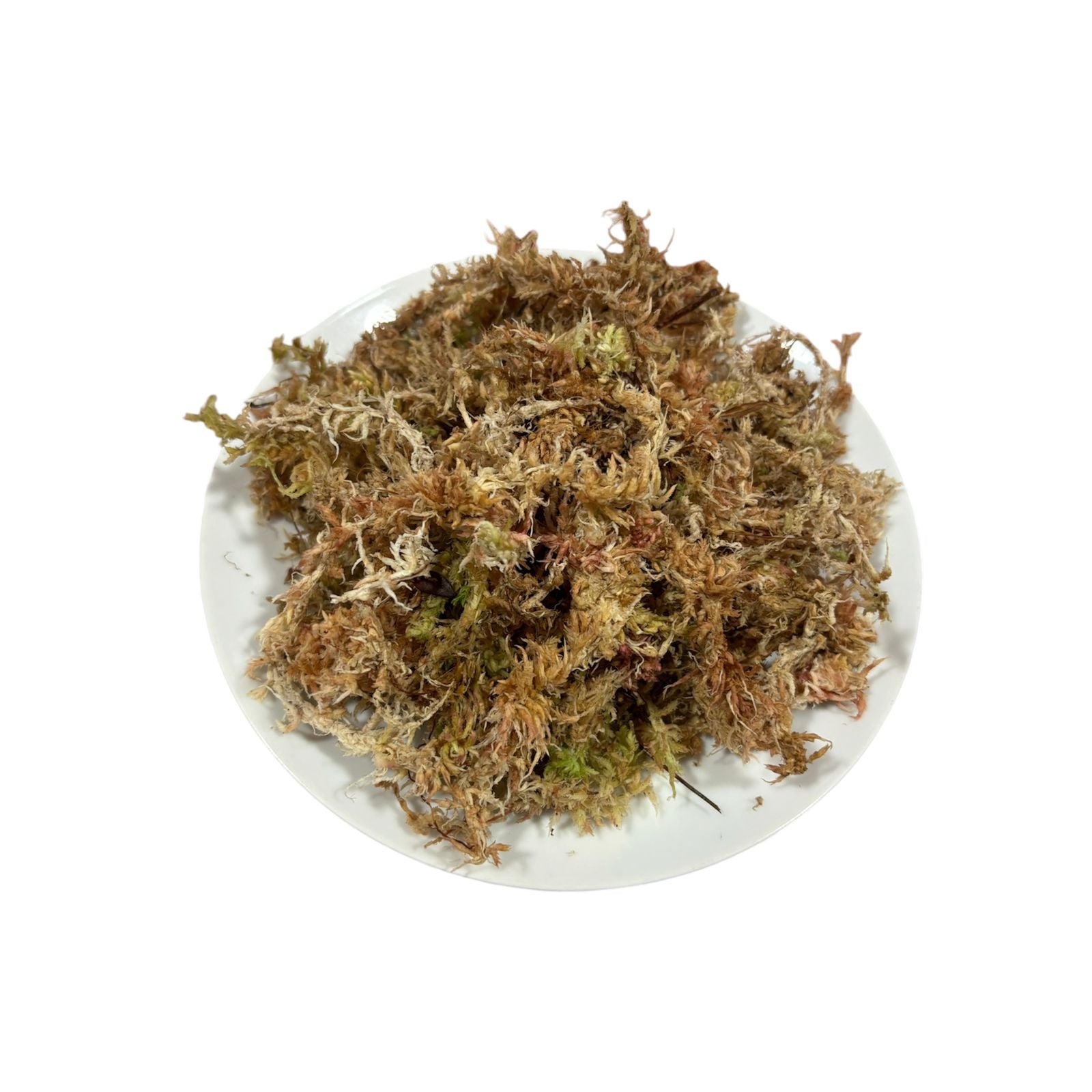 Musgo sphagnum 5 litros