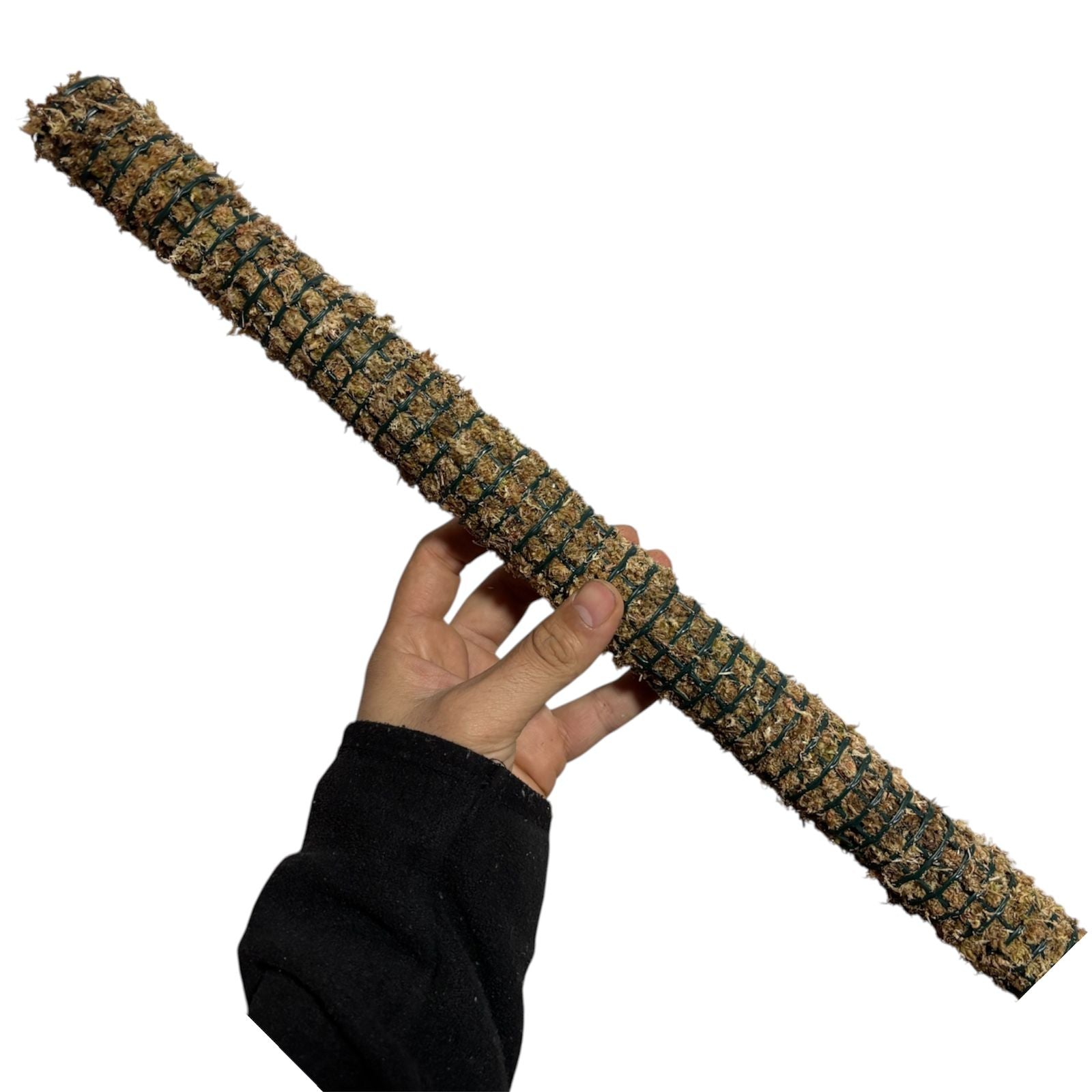 Tutor 50 cm de musgo sphagnum