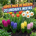 SUPER PACK DE BULBOS MIX 20 UNIDADES