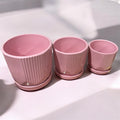 Maceta cerámica rosado super pack 3 unidades