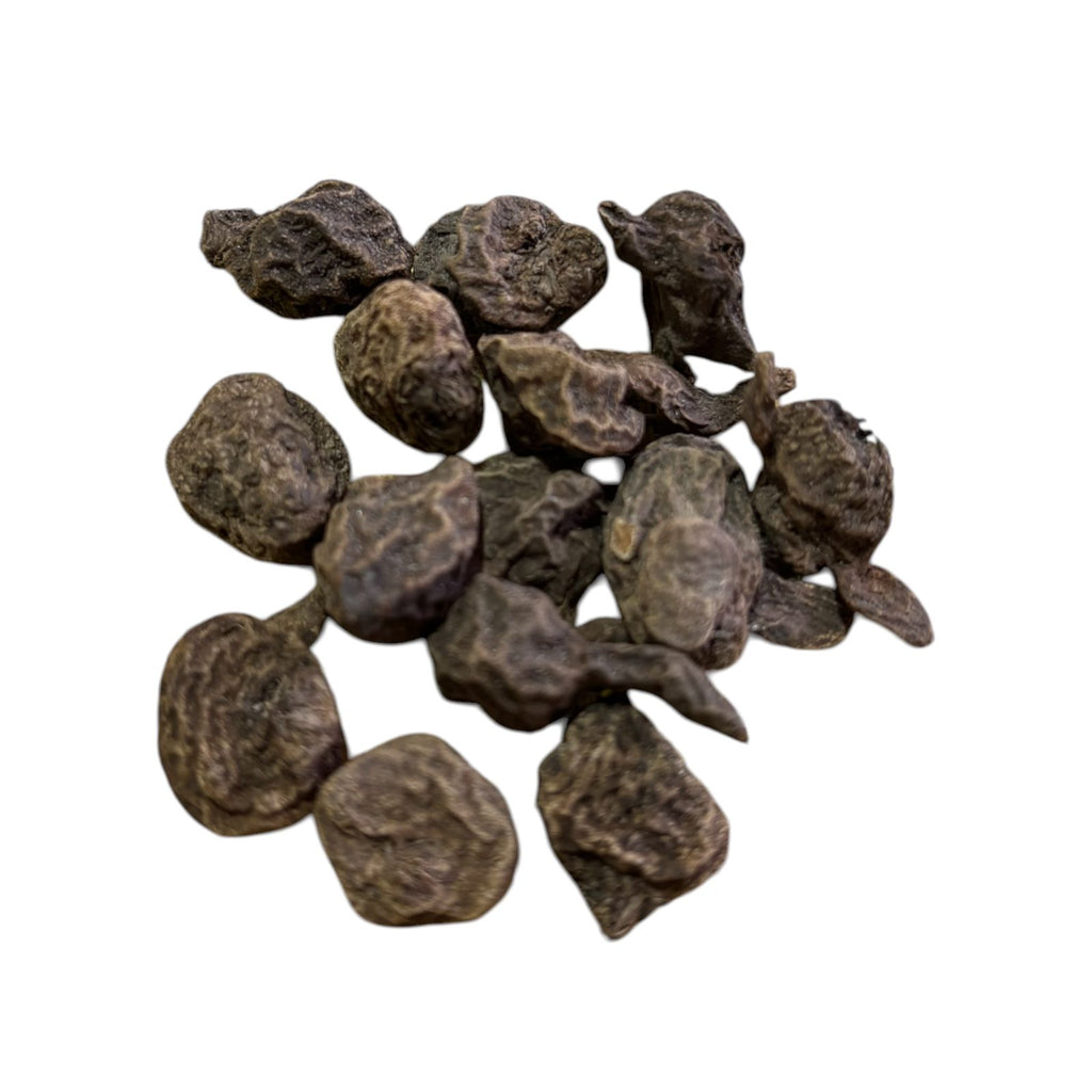 Bulbos de anemonas mix